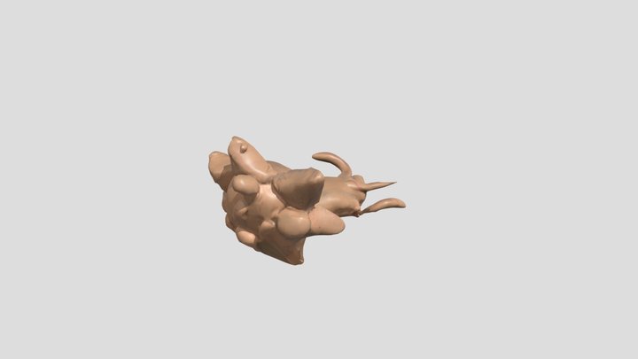 lion1 – Kostenloses 3D-Modell STL