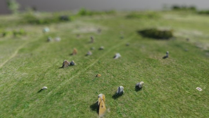 Cossak's Cemetery Kolodyste 3D Model