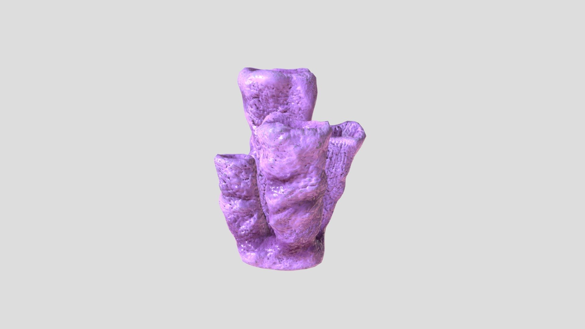 Purple coral