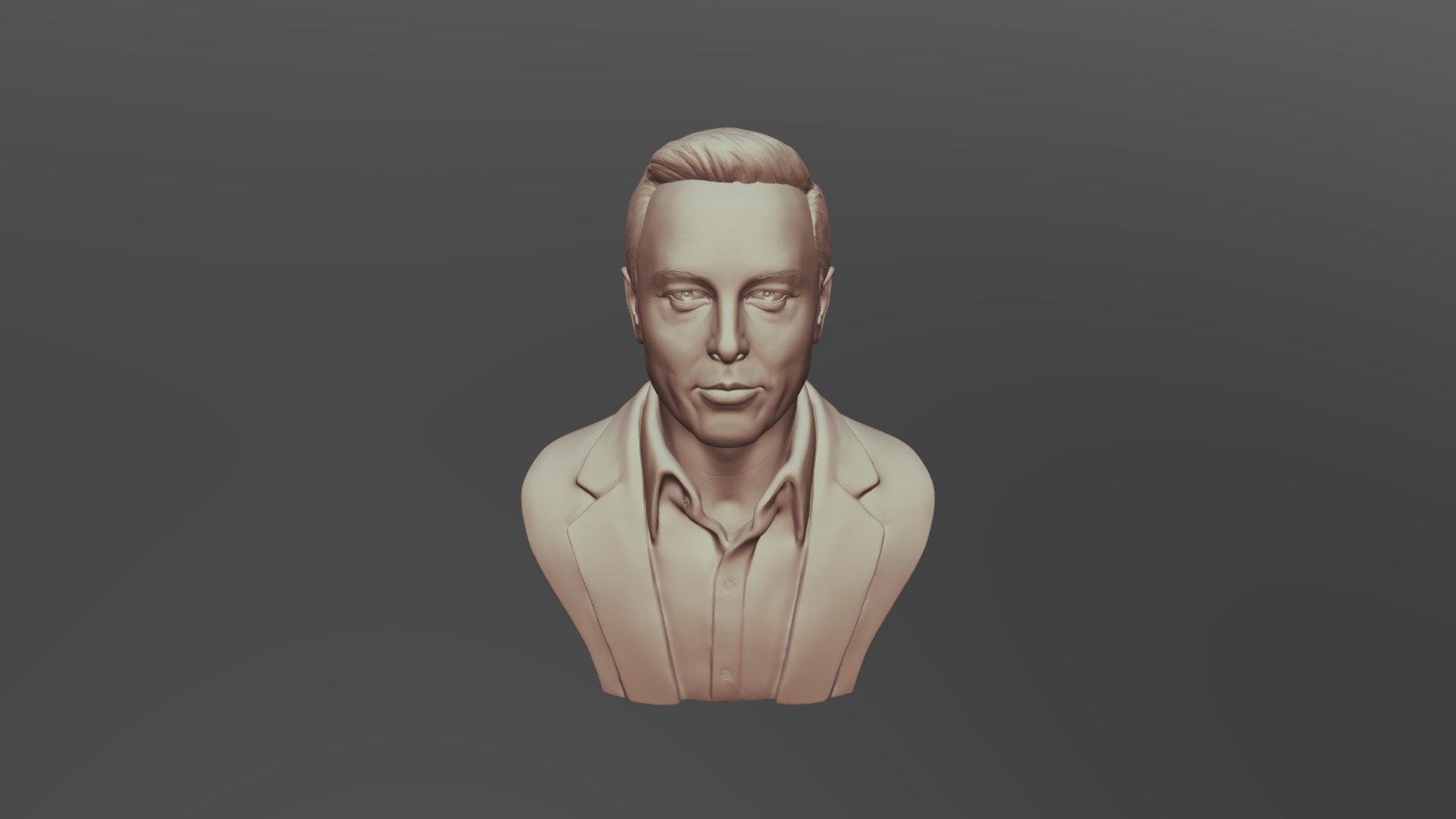 Elon Musk 3D Model 3D print model