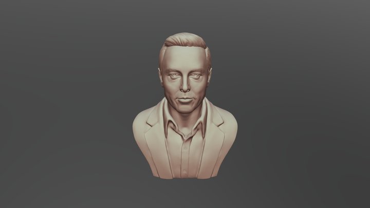 Elon Musk 3D Model 3D print model 3D Model