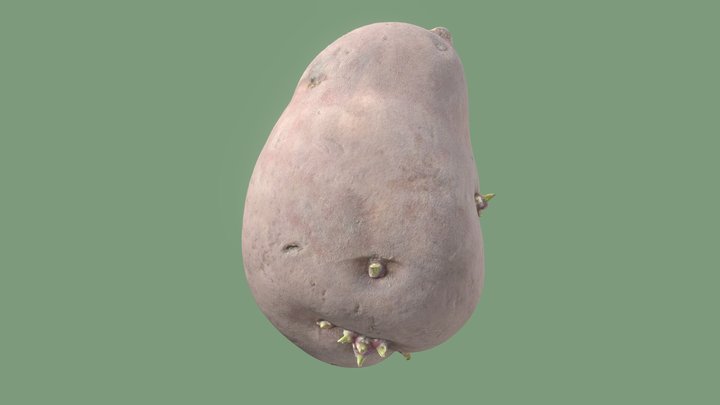 Sweet Potato 3D Model