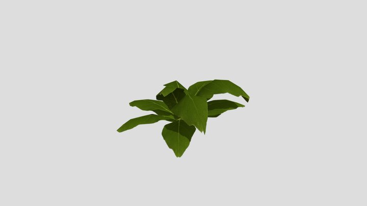 Plant_1 3D Model