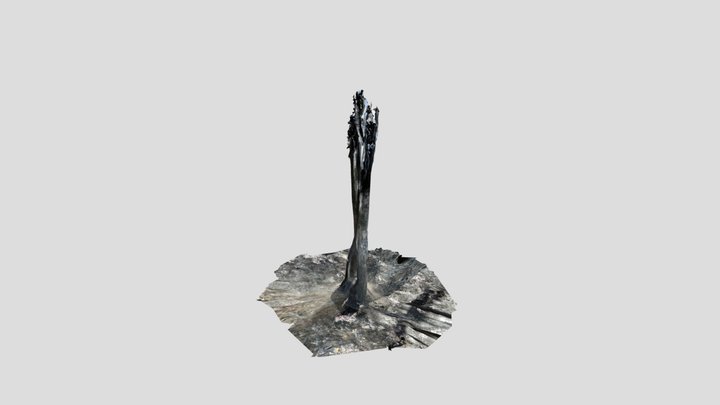 bonpan1 3D Model