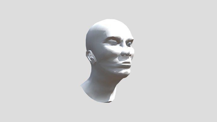 3D Head Model 3D Model