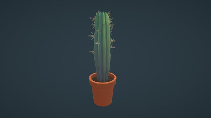 Cactus 3D Model