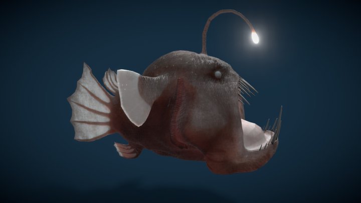 Abyssal Fish 3D Model