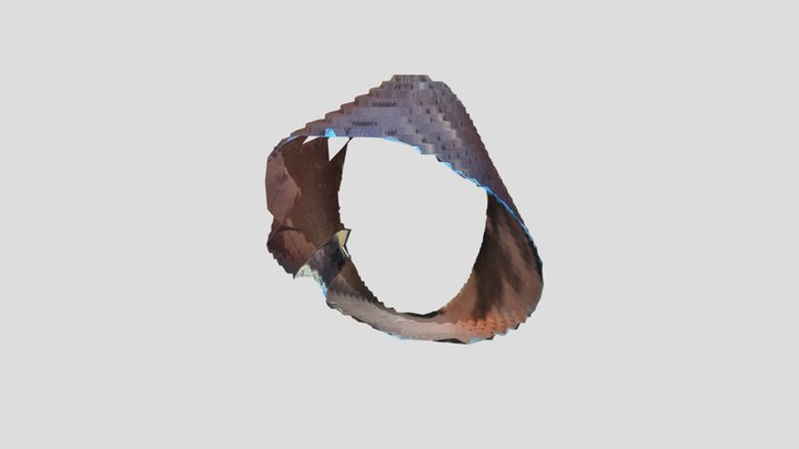 DaRichard 3D Model