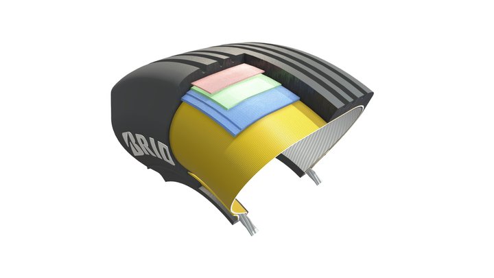 Cuttaway_view 3D Model