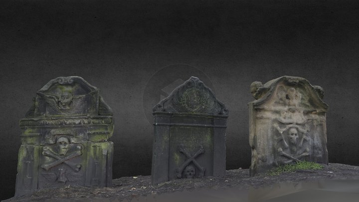 Crossbones 3D models - Sketchfab