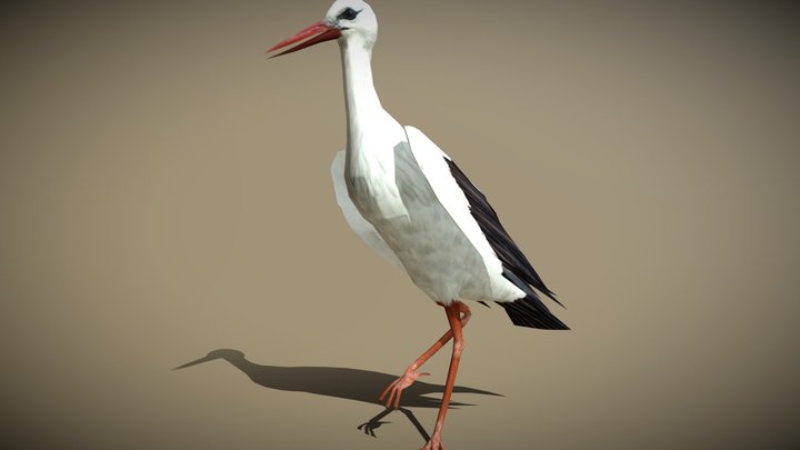3DRT - birds and critters - stork 3D Model