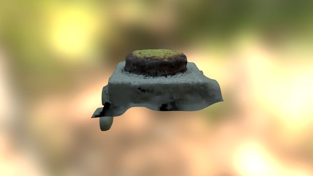 Cake ply 3D Model