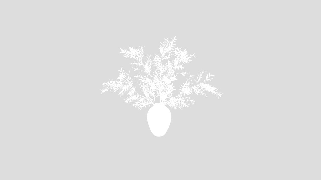 Dried Olive Branches In Vase