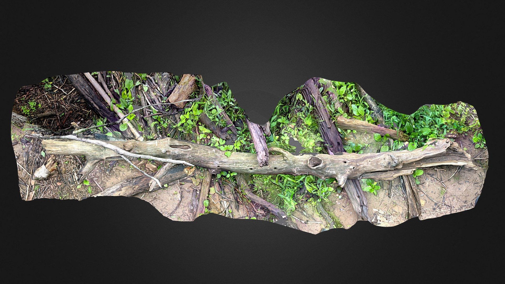 Driftwood