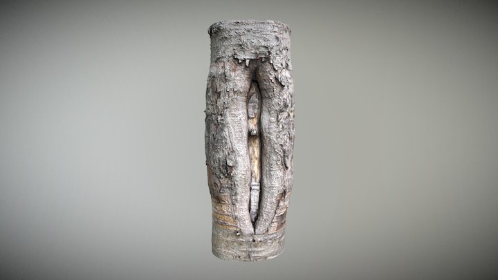 An overgrown wound on a tree – Modello 3D gratuito STL