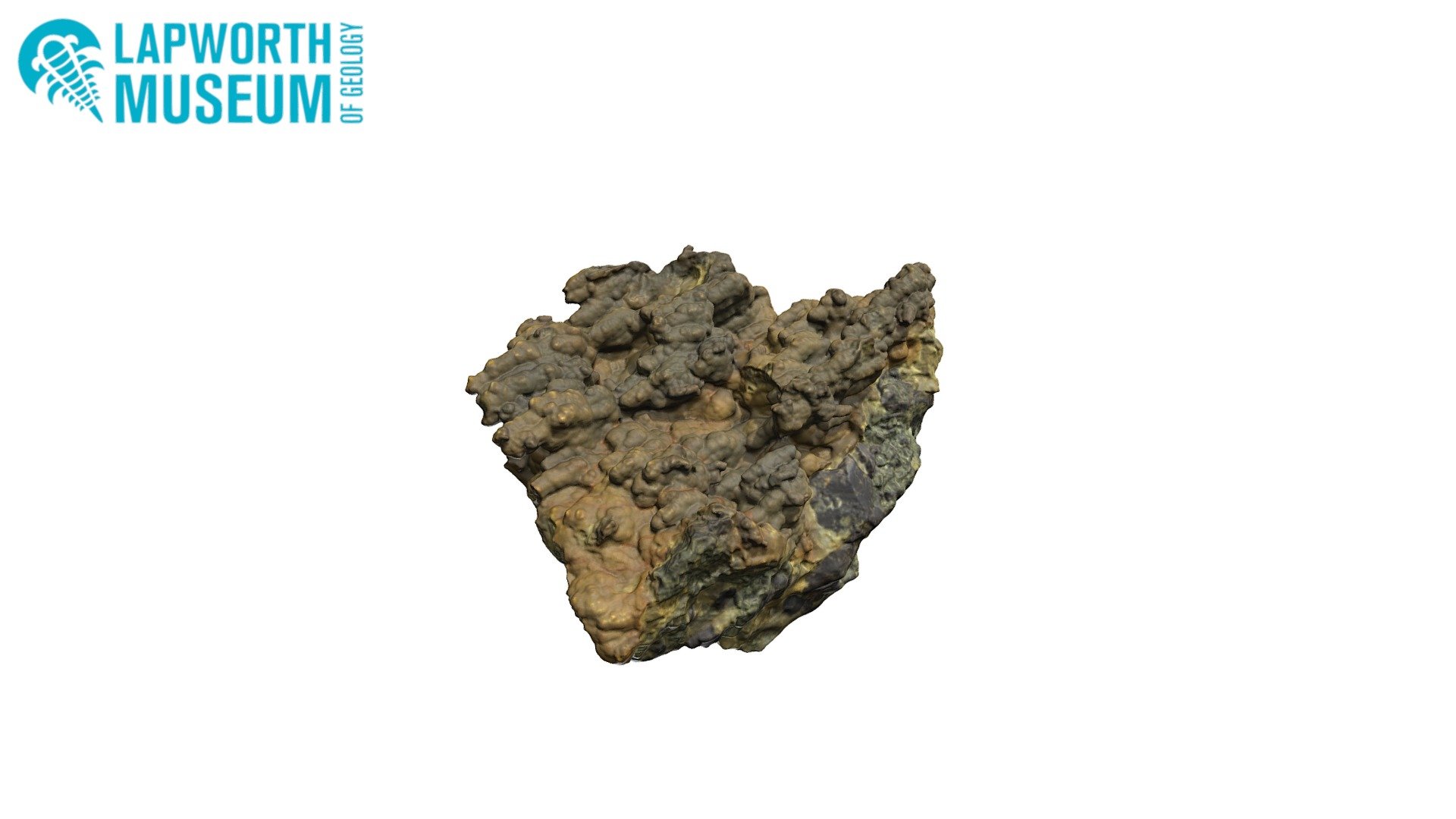 Chalcedony with cassiterite BIRUG 24