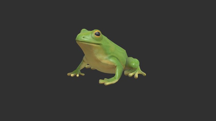 Tree Frog 3D Model