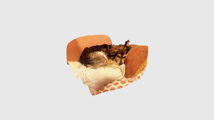 Sleepy Doggo 3D Model