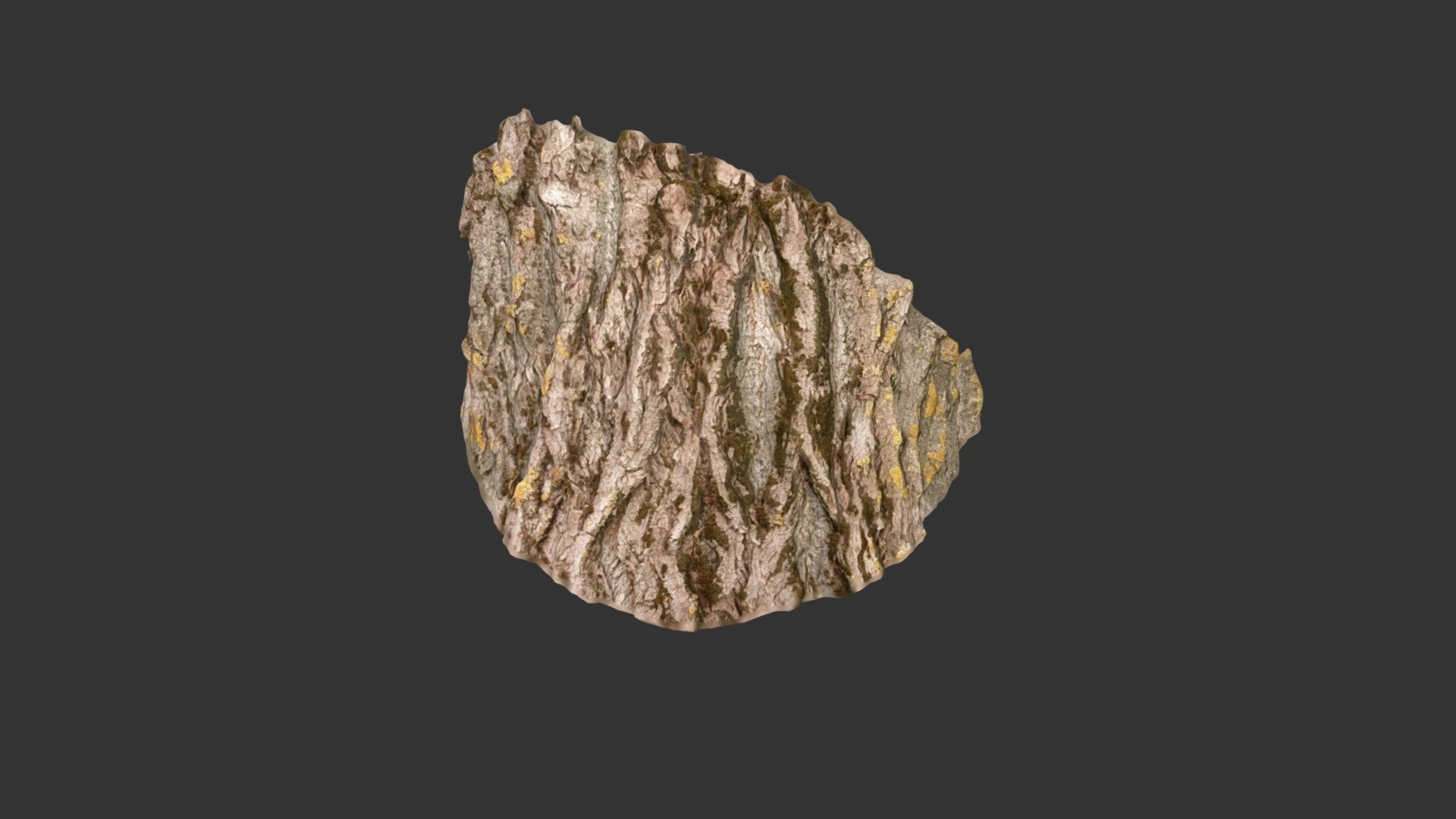 Bark01