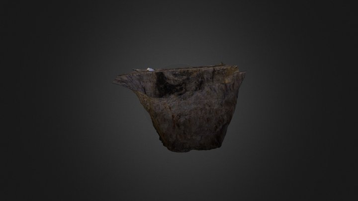 N23 Paalkuil met hondenvoet 3D Model