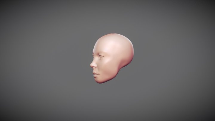 Female Head Sculpt - March 1 3D Model