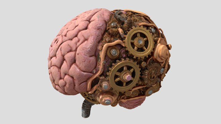 Cogmind Cortex - medical – Modelo 3D gratuito STL