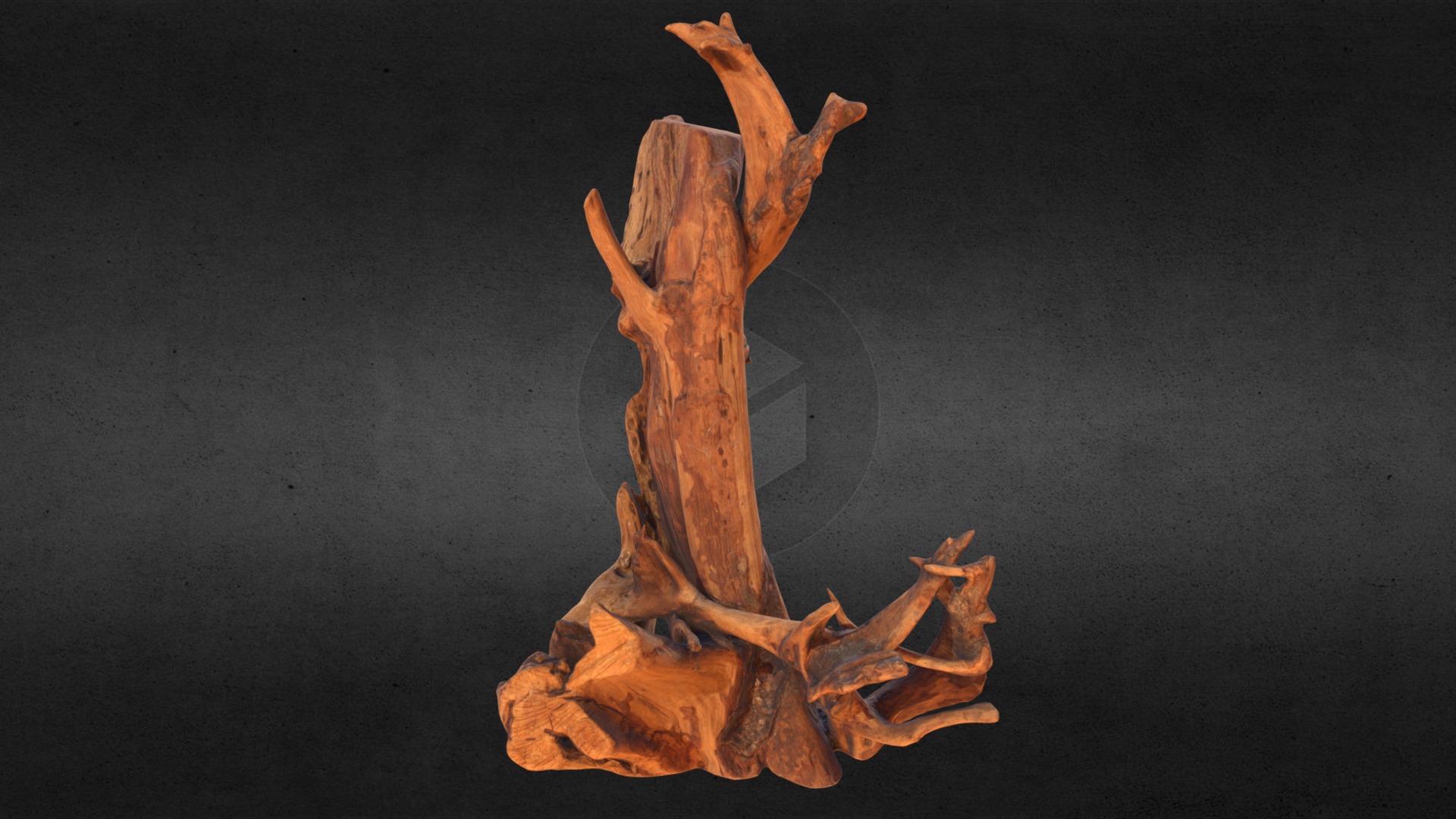3D model Real Wood Root-2 - This is a 3D model of the Real Wood Root-2. The 3D model is about a tree branch with a circle in the middle.