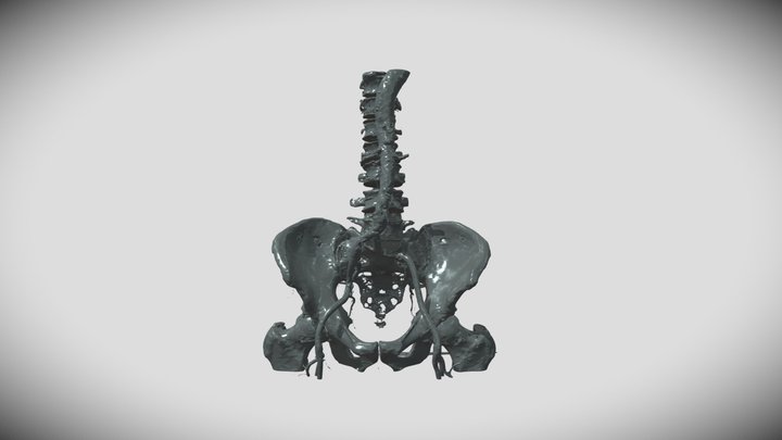 Frank DCOM Final 3D Model