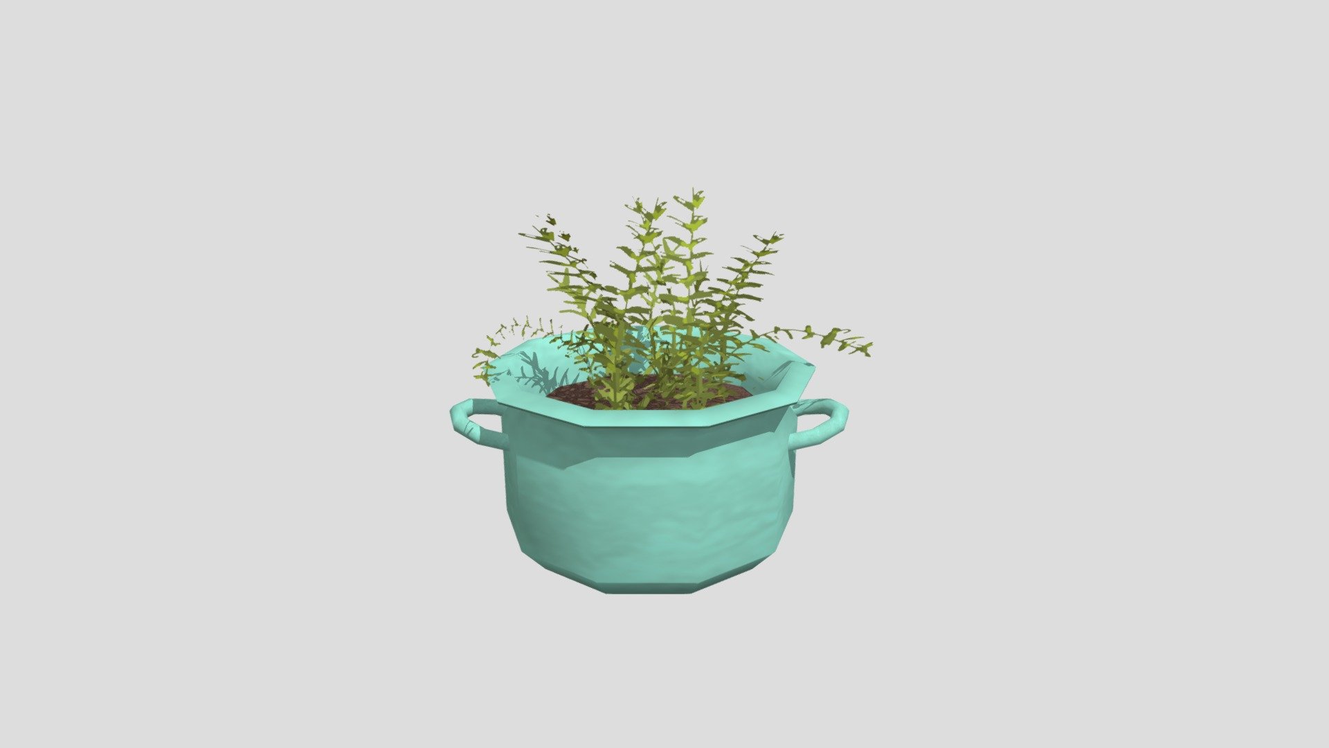 Plant Cooking Pot