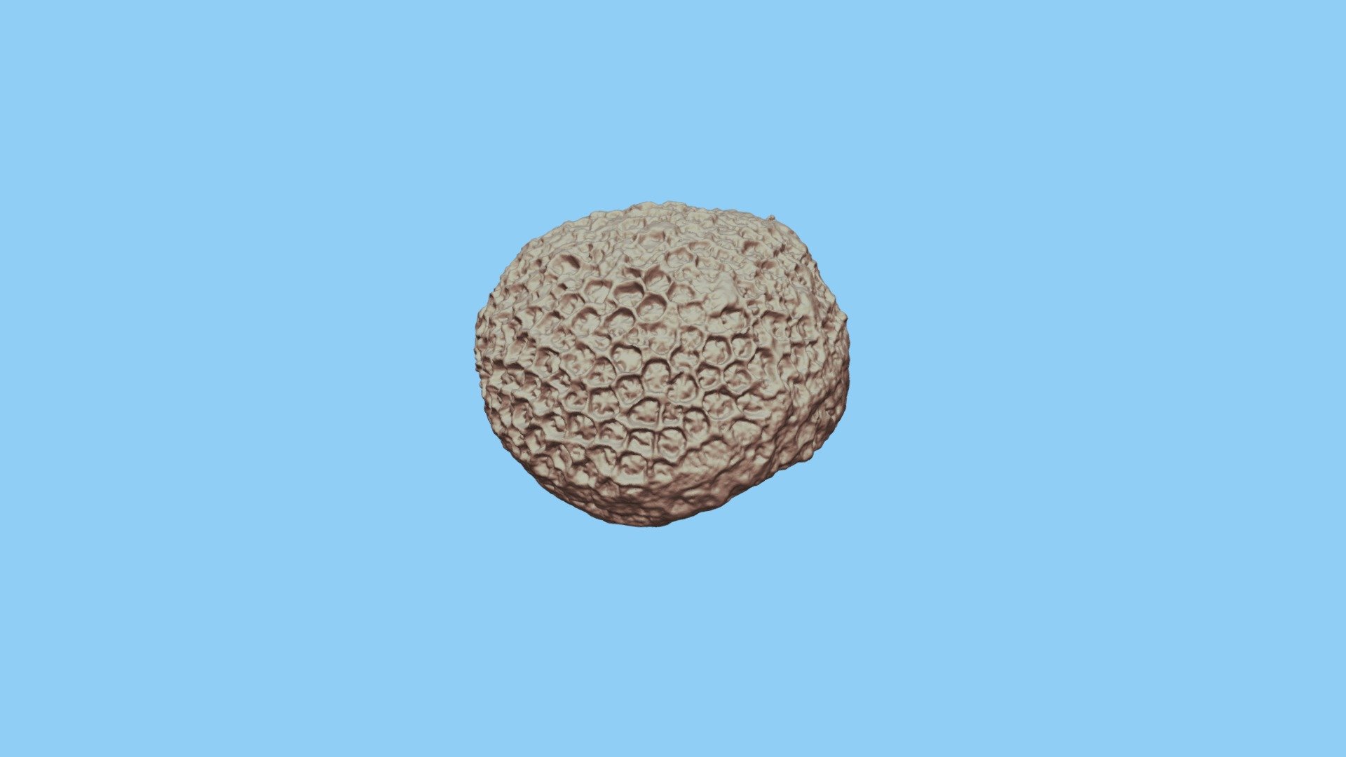 Coral2 High-1000k
