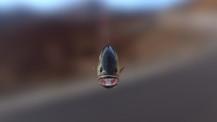 fish 2 3D Model