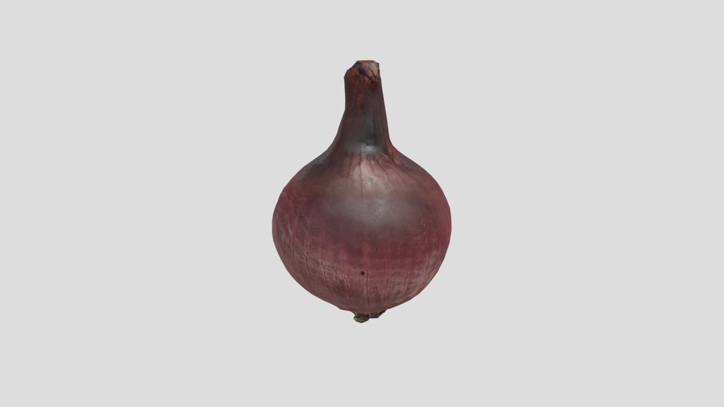 Onion