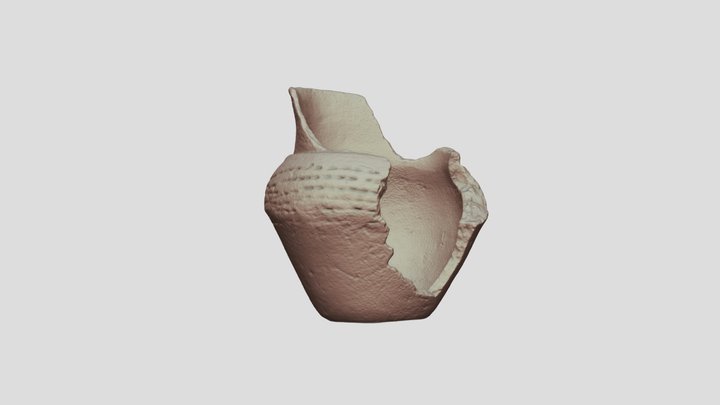 Spexk_1a_simpl_mesh 3D Model