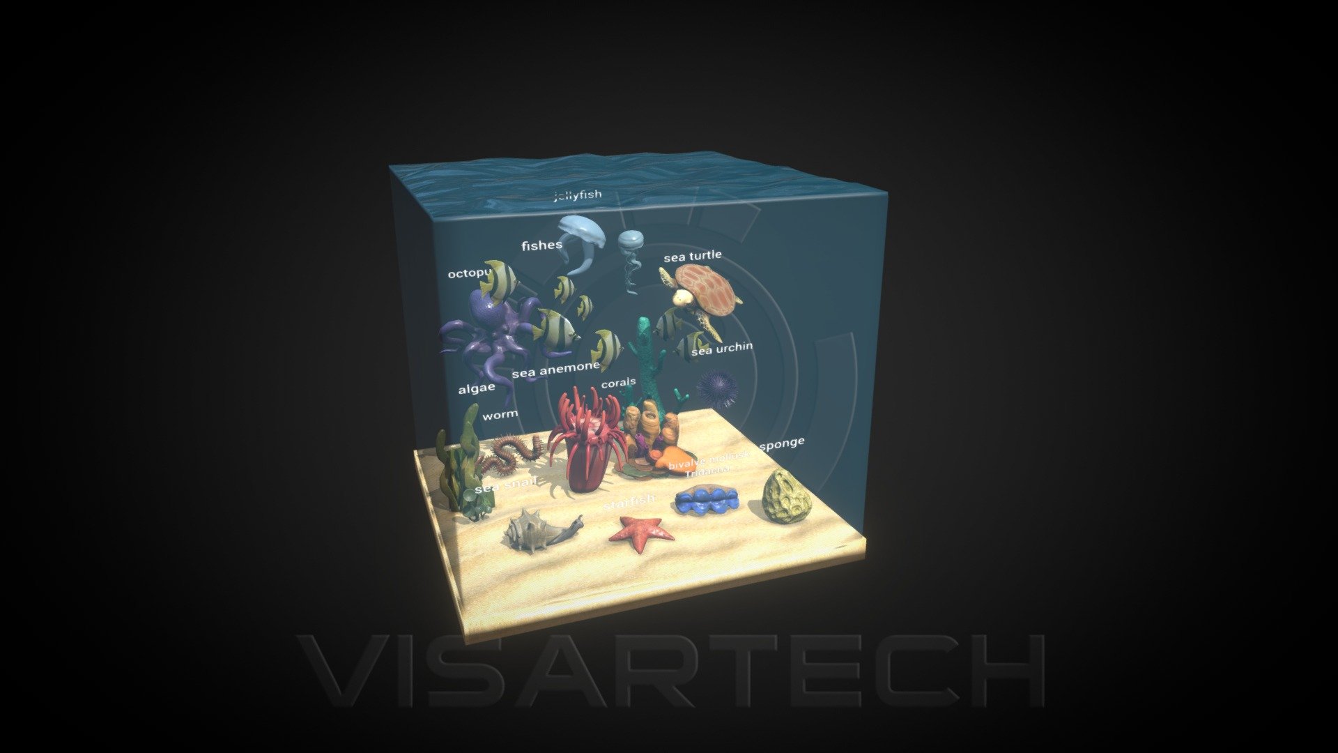 Coral Reef Ecosystem