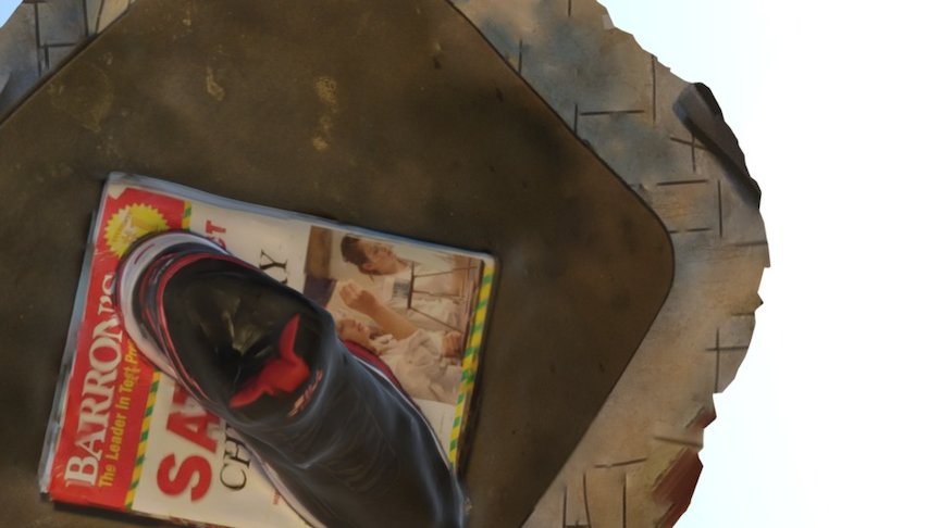 shoe