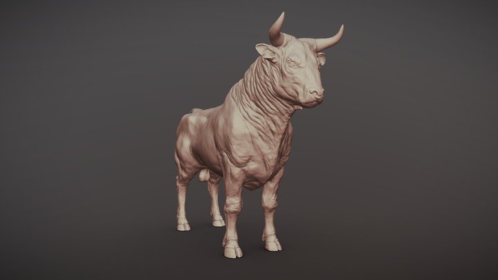 Bull Realistic Sculpt 3D Model
