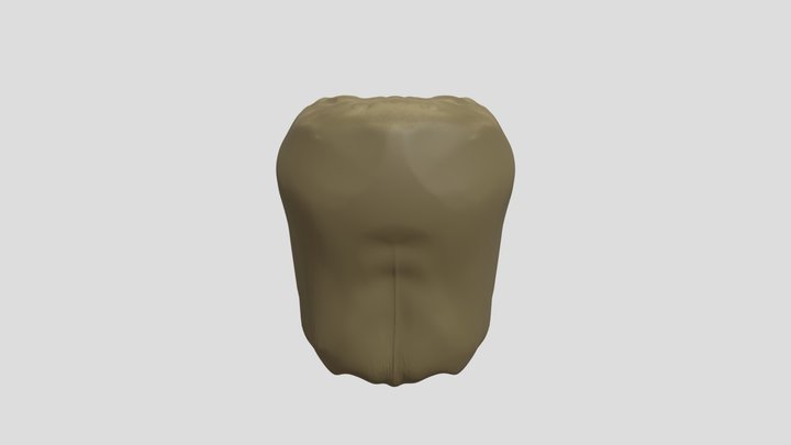 Your Mesh (1) 3D Model
