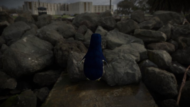 Pequeño pinguino azul examen 3D Model