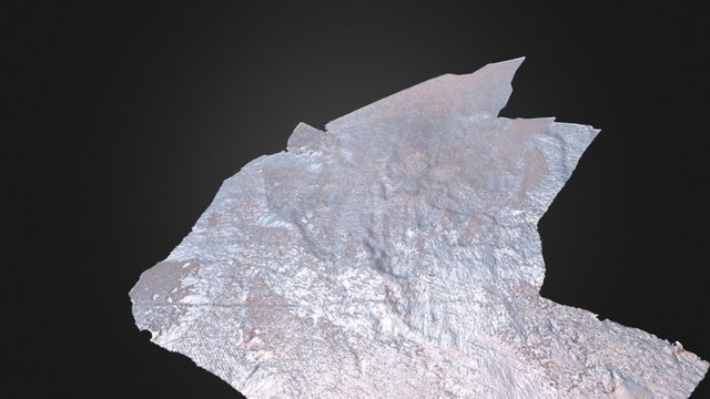 Preliminary model of a talus slope (Swiss Alps) 3D Model