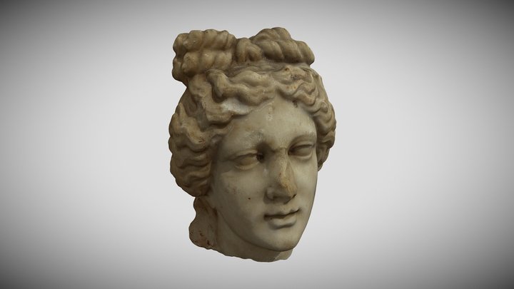 Head Of Venus | Museum of Srem 3D Model
