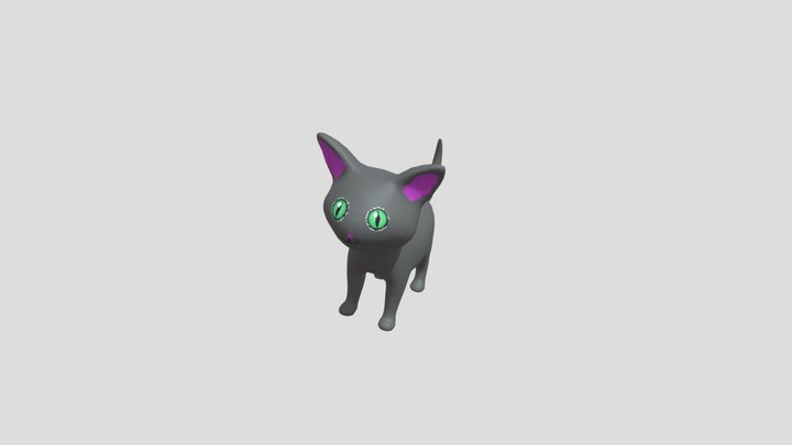 Cat Evan 3D Model
