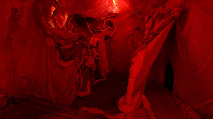 Womb - Dream World 3D Model