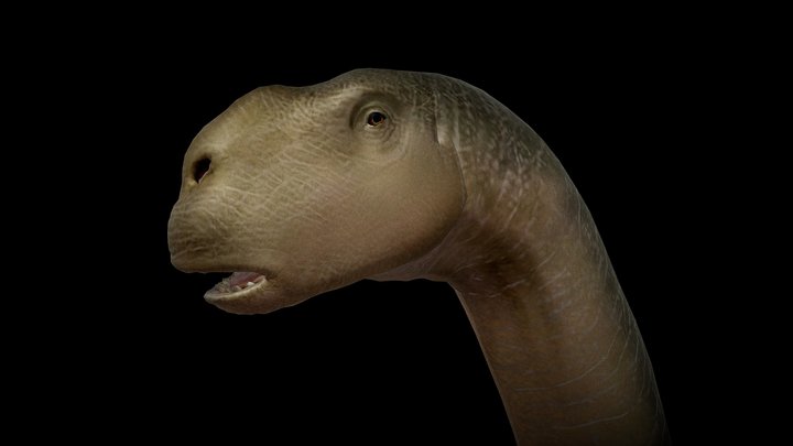 Dreadnoughtus – Modello 3D gratuito STL