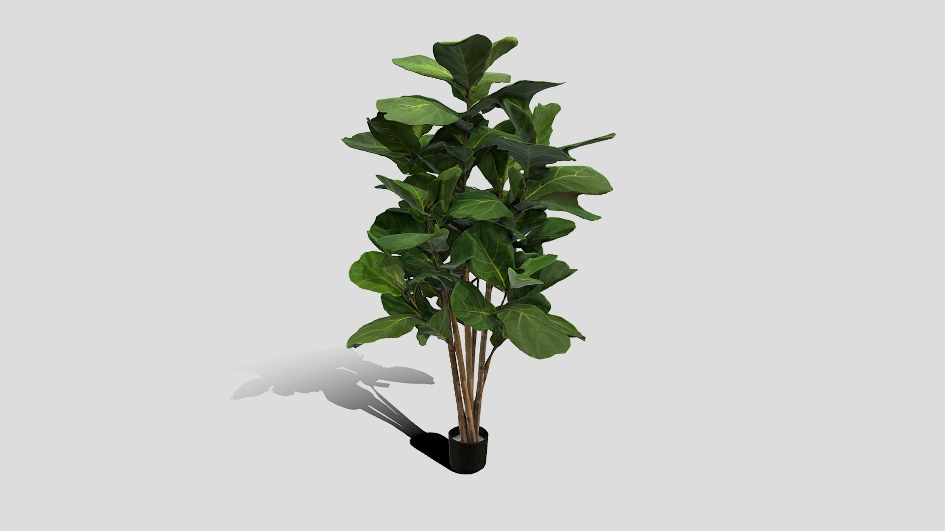 3D model 000004_102417 - This is a 3D model of the 000004_102417. The 3D model is about a plant in a pot.