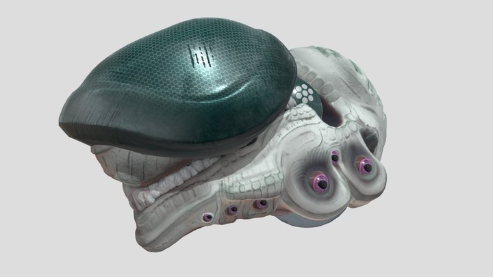 BioPunk Helmet [V1] 3D Model