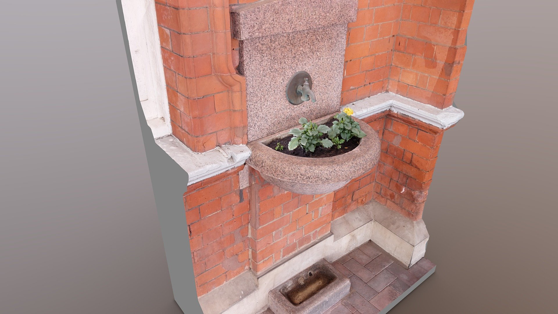 Rugby Station: Flowers