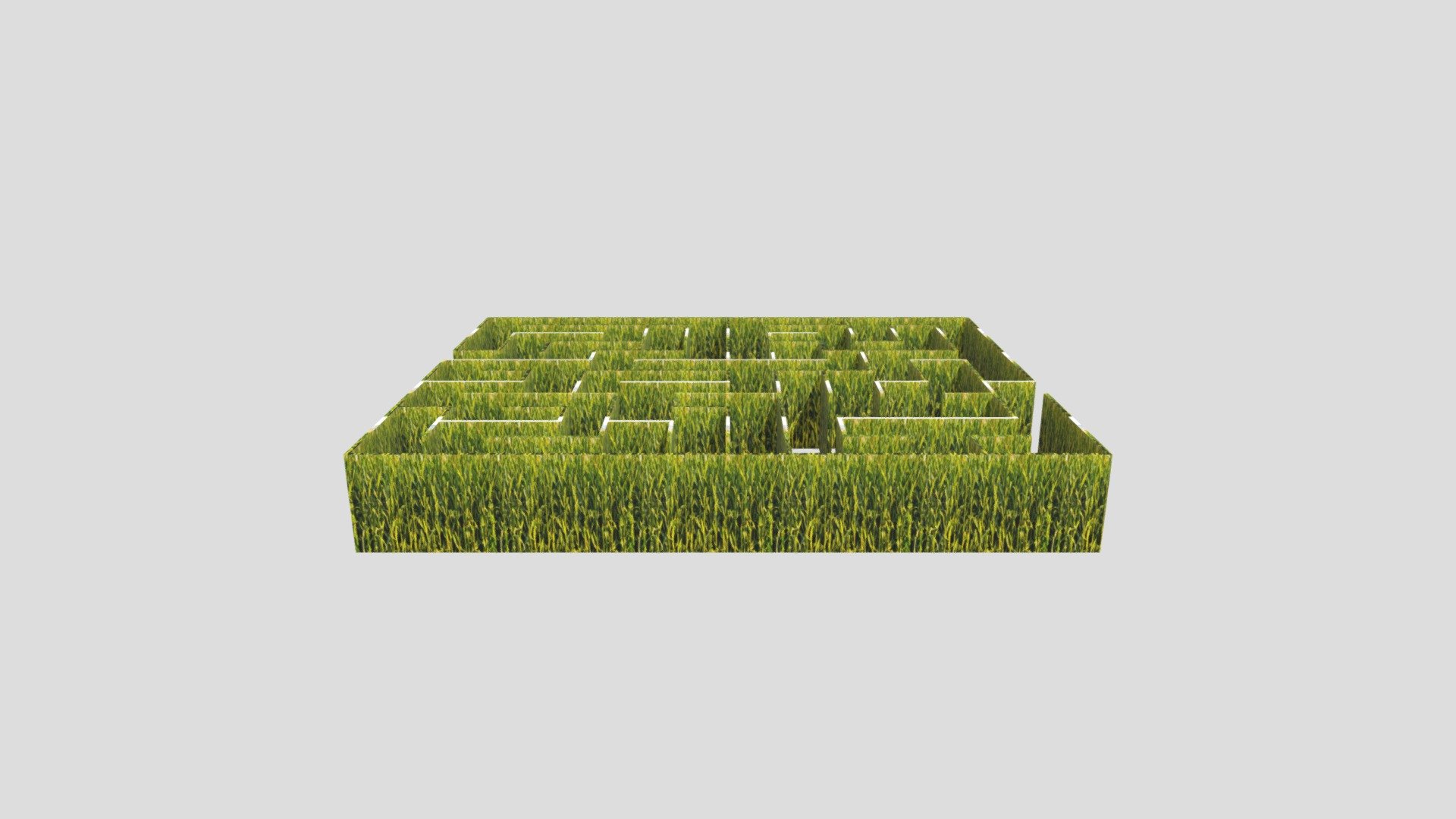 CORN MAZE-03 - Download Free 3D model by psychopete [7202ca9] - Sketchfab