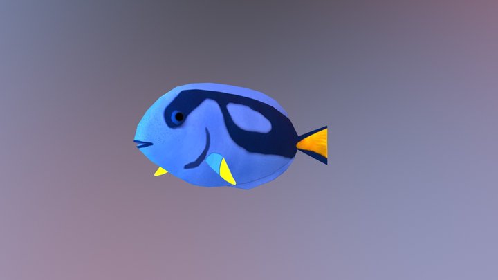 BlueTang_Fish (Idle) 3D Model