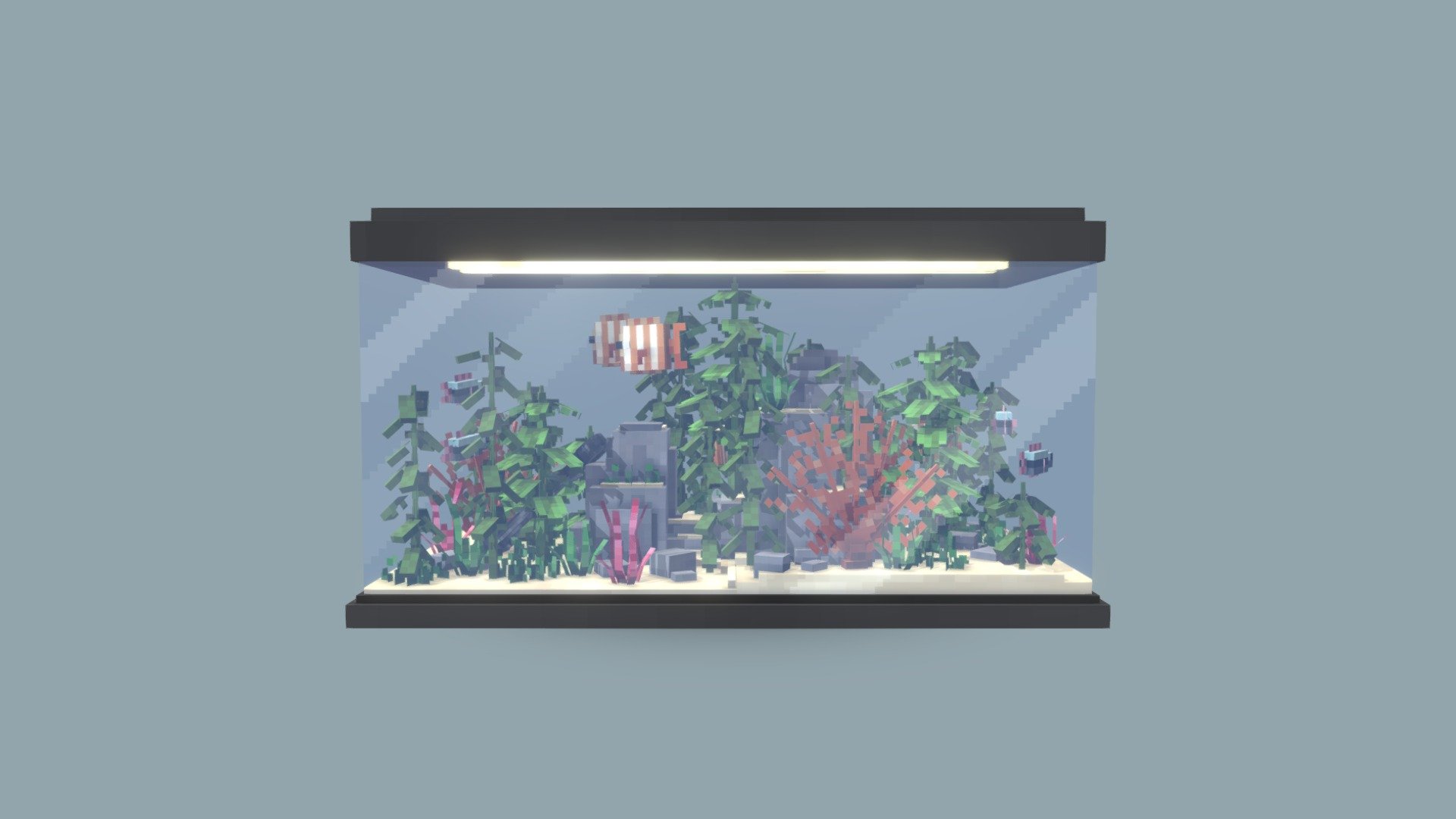 Aquarium - 3D model by _Owcee [7205959] - Sketchfab