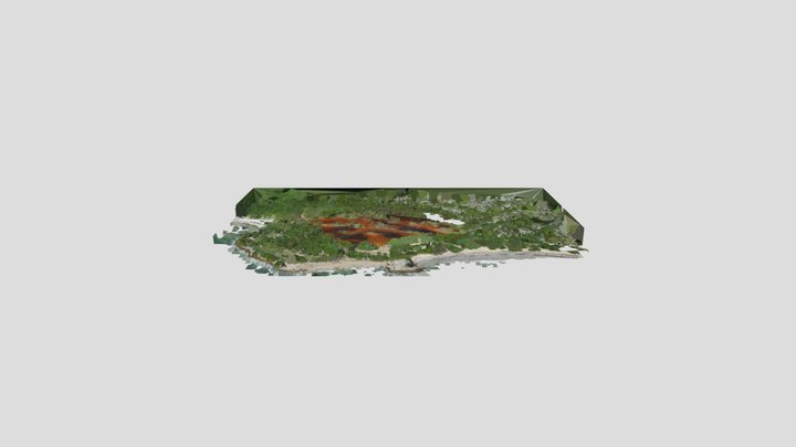 Bosque Seco Guanica PR 3D Model
